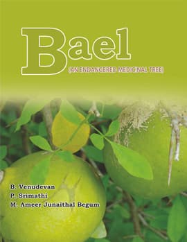 Bael