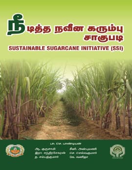 SSI