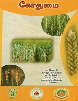 Wheat