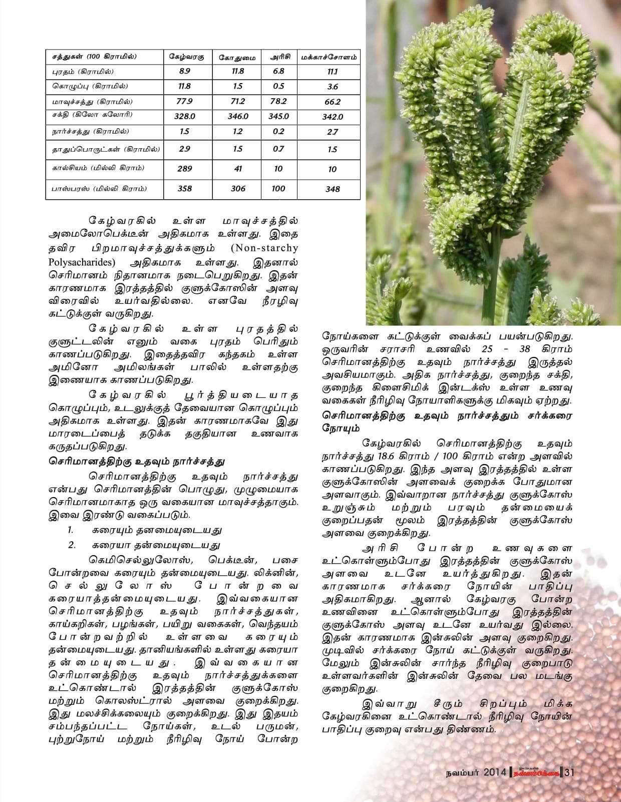 நவம்பர் 2014 பக்கம் 31