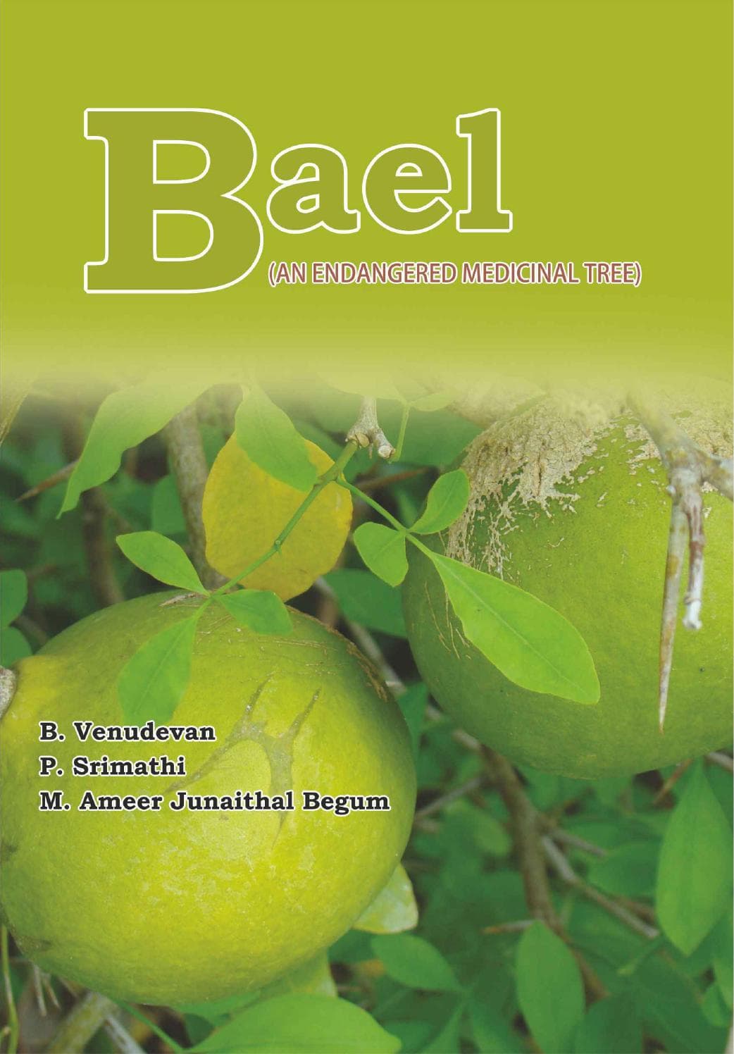 Bael — பக்கம் 1
