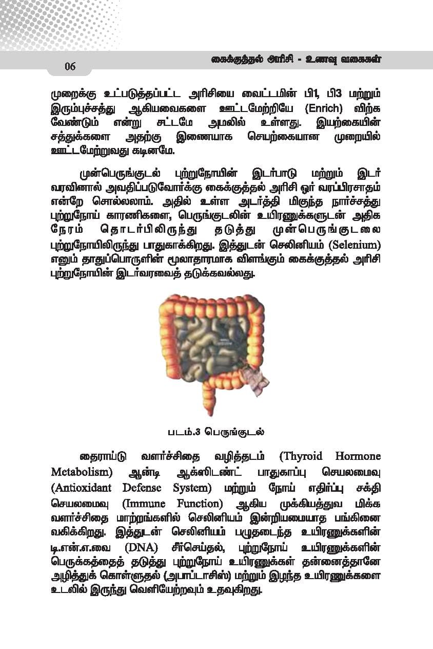 Kaikuthal Arisi — பக்கம் 17