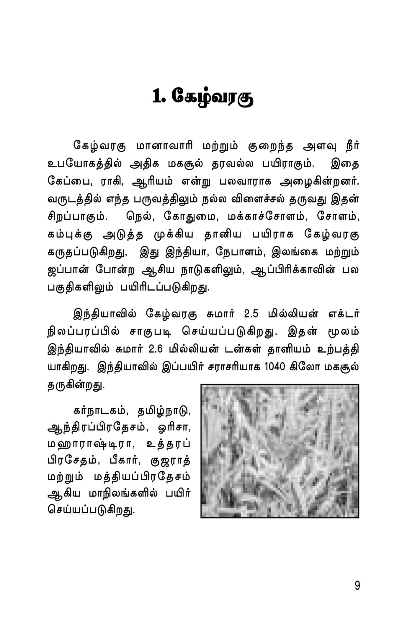 Kuruthaniyangkal — பக்கம் 11