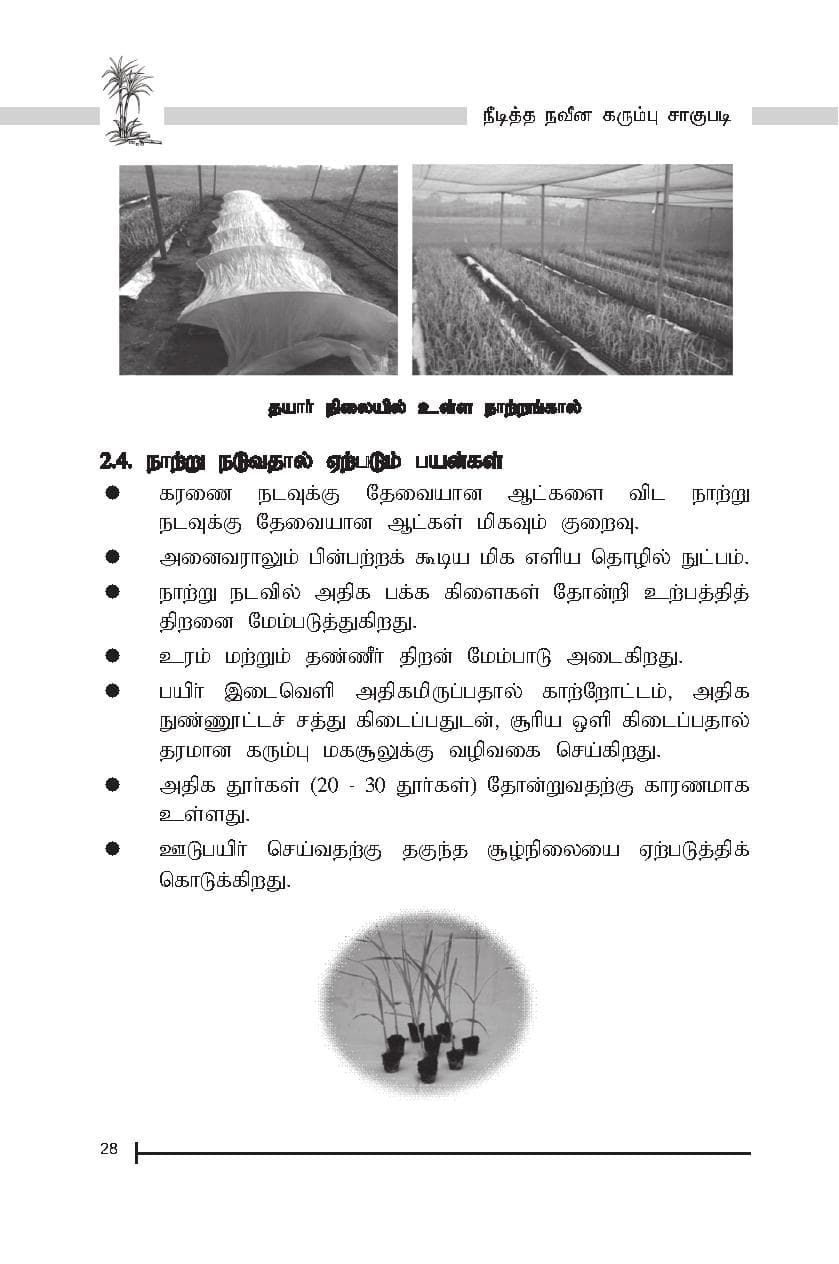 SSI — பக்கம் 30