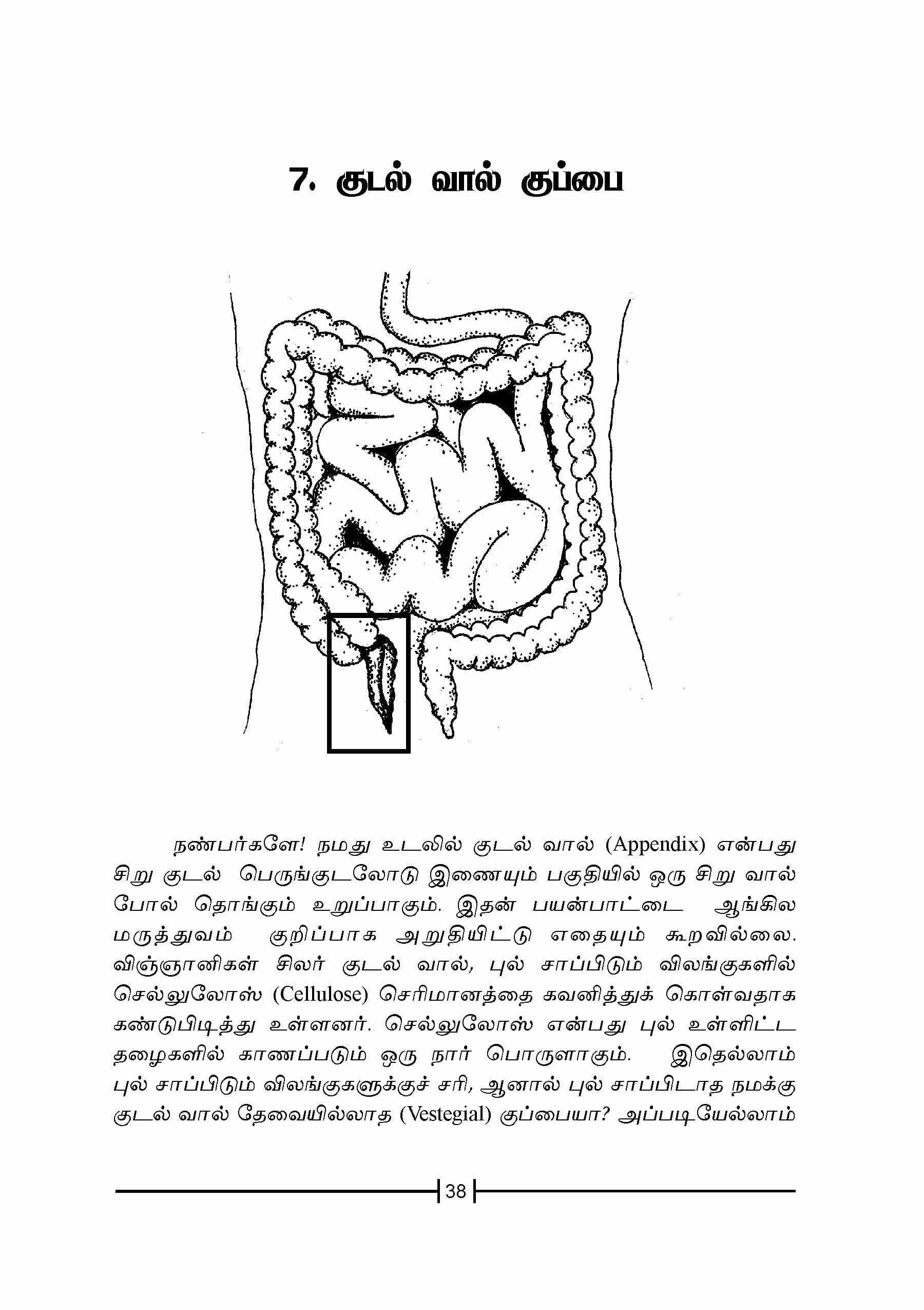 Vairum Vaazhvum — பக்கம் 40