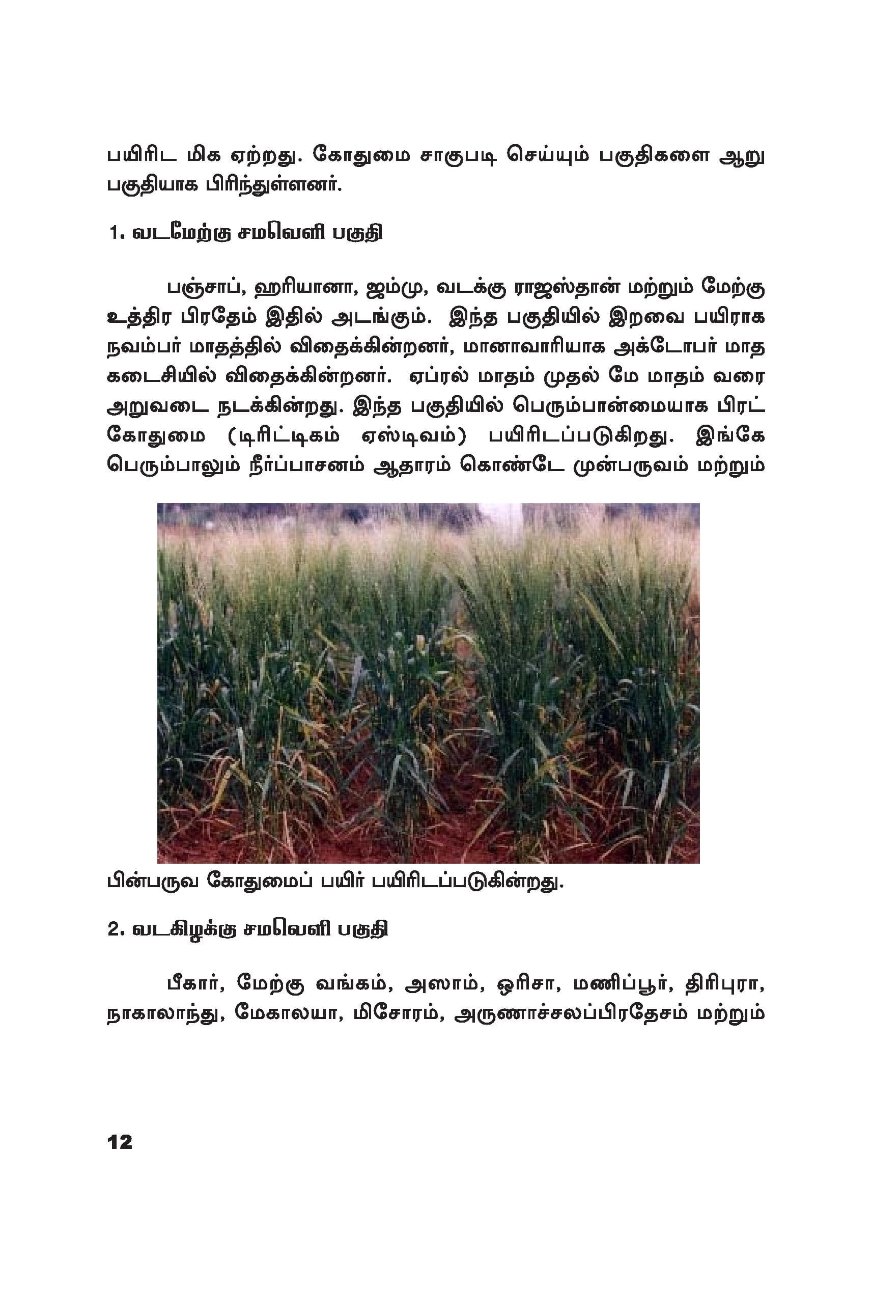 Wheat — பக்கம் 22