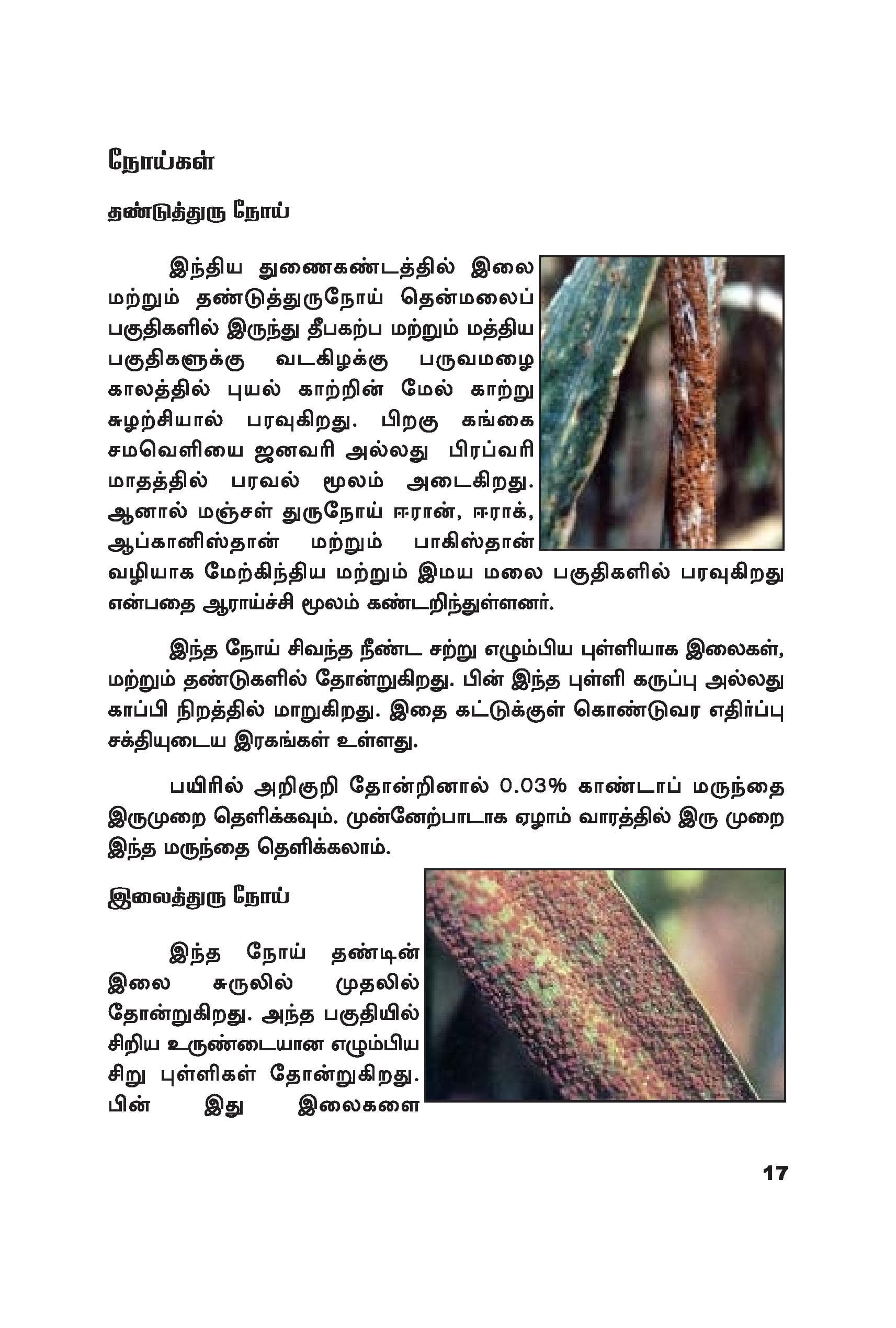Wheat — பக்கம் 27