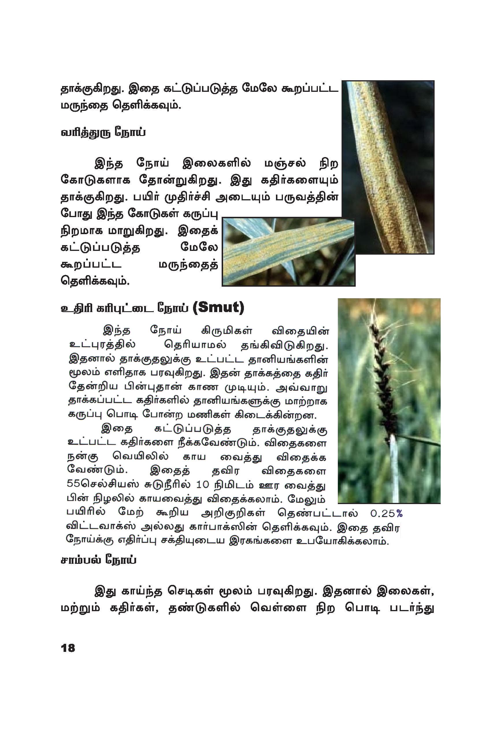Wheat — பக்கம் 28